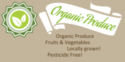 Organic Fruits and Vegetables Banner