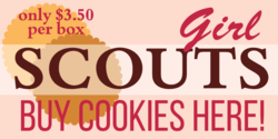 Price Per Box of Girl Scout Cookies Banner