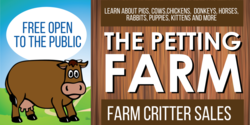 Petting Farm Open Curious Cow Critter Design
