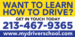 Three Toned Yellow White and Purple Learn How To Drive Banner